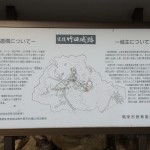 img_47861