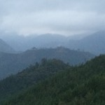 img_67451