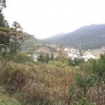img_67681