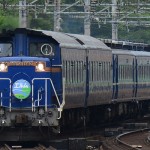 DSC_6587