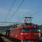 train0167_photo0059