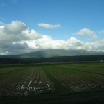 dsc02529