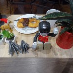 dsc04954