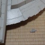 dsc05787