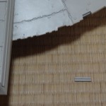 dsc05799