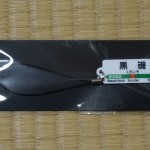 dsc07294