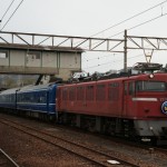 DSC04555