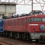 DSC04574