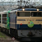 DSC06309