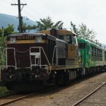 DSC06514