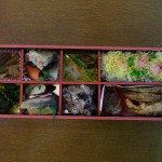 DSC09519