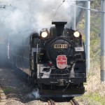 AC1J6859