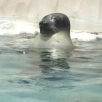 img_4495