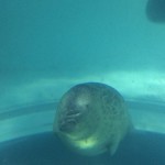 img_4547