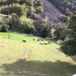 img_1604