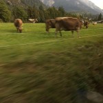 img_1738